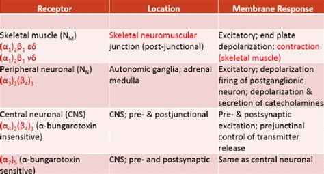 Cholinergic Receptors (Muscarinic & Nicotinic) and Their Distribution ...