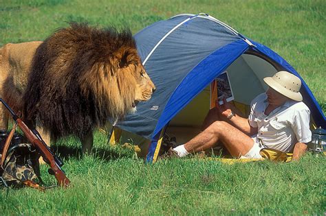 Wildlife at Chitabe Camp,Okavango Delta | Search Attractions