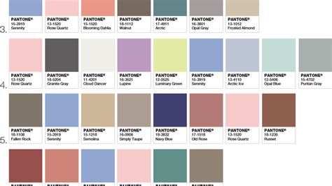 Pantone PNG