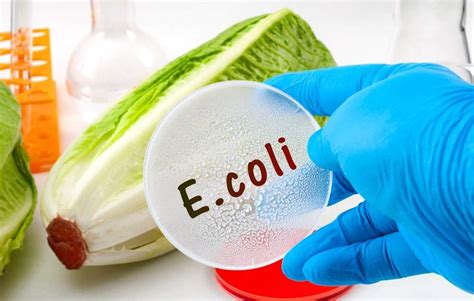 E. coli Symptoms; 14 Warning Signs & Symptoms of E. coli - Healthella