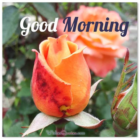 Lovely Good morning messages – Printable graphics