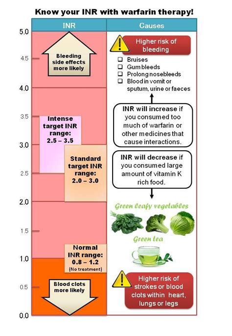 Pin on Health and wellness infographics