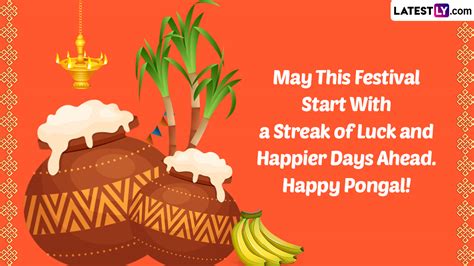 Happy Pongal 2023 Best Wishes Quotes Messages For Pongal Festival Zohal ...