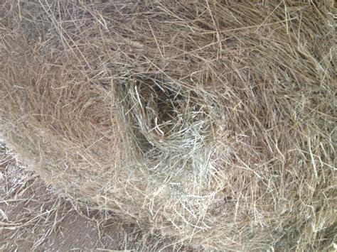 White House Farms: Bermuda Mixed Grass Horse Hay