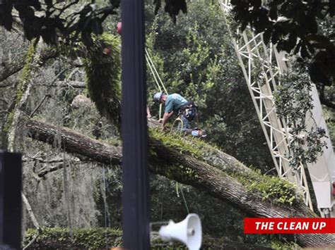 Ron DeSantis' Home Hit by Huge Oak Tree in Hurricane Idalia, Family Was Home