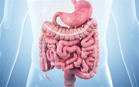 Undiagnosed Axial Spondyloarthritis Prevalent Among Patients With IBD - Gastroenterology Advisor