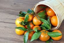 Satsuma On A Table Free Stock Photo - Public Domain Pictures