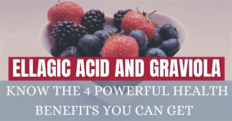 Ellagic Acid and Graviola: Know the 4 Powerful Health Benefits You Can Get