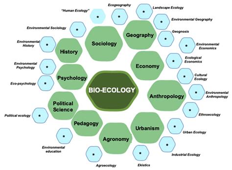 Sustainability | Free Full-Text | Sustainability Science: A Paradigm in ...