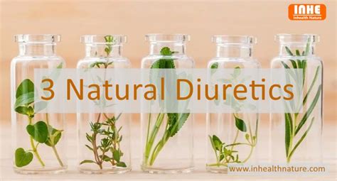 What Are Effective Natural Diuretics? - News - Shaanxi Inhealth Nature Industry Co., Ltd