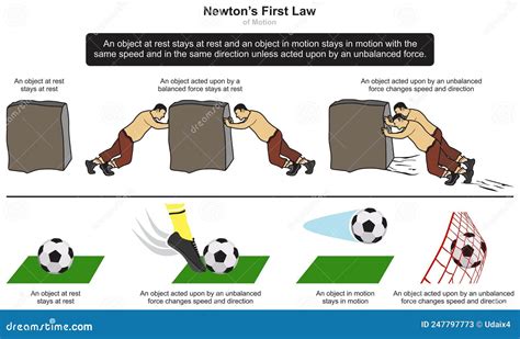 Newton First Law Of Motion Infographic Diagram Example Rock And ...