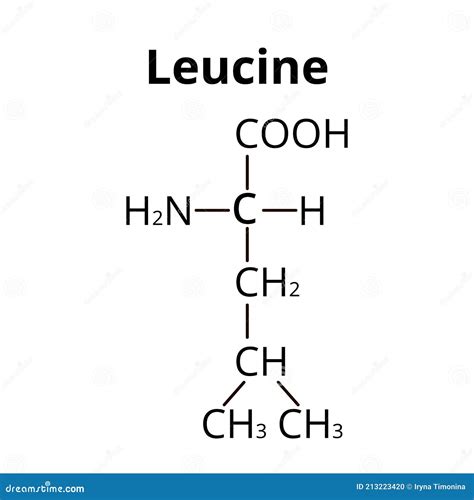 Leucine Molecular Structure. Leucine Skeletal Chemical Formula. Chemical Molecular Formula ...