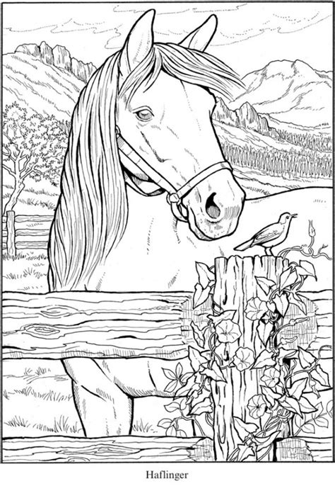 6 Horse Coloring Pages | Craft Gossip | Bloglovin’