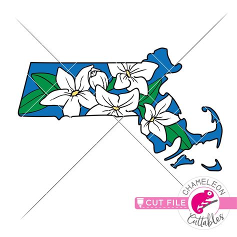 Massachusetts state flower mayflower layered svg png dxf eps jpeg Chameleon Cuttables LLC ...