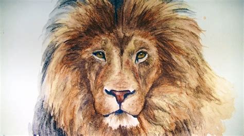 Colored Pencil Realistic Lion Drawing - pencildrawing2019