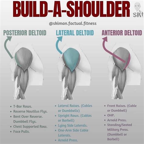 Add Serious Size To Your Shoulders With This Workout - GymGuider.com | Shoulder workout ...