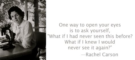 Rachel Carson Quotes. QuotesGram