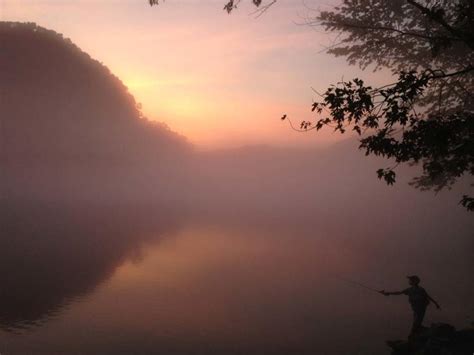 10 Tips For Taking Beautiful iPhone Photos In Mist & Fog