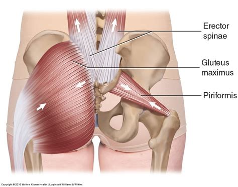 Is Your SI Joint Jammed Again? Discover Long-Term Relief! • Posturepro