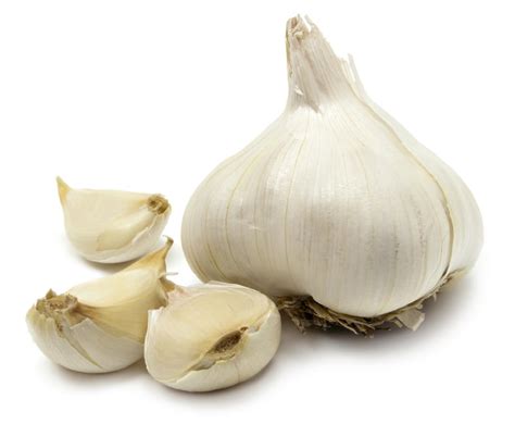 Insights from an Aged Garlic Extract Study