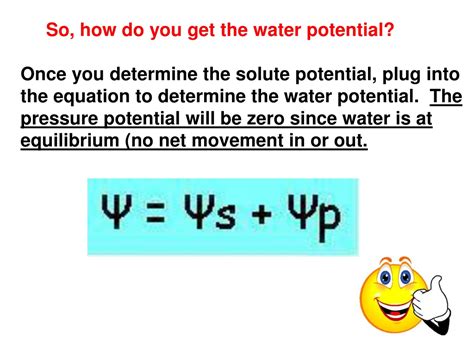 PPT - What is Water Potential? PowerPoint Presentation, free download - ID:9291330