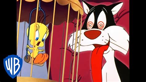 Looney Tuesdays | Tweety and Sylvester's Adventures | Looney Tunes | WB ...