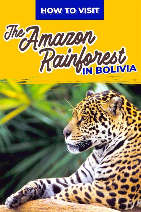 How to Visit the Amazon Rainforest in Bolivia | Bolivia travel ...