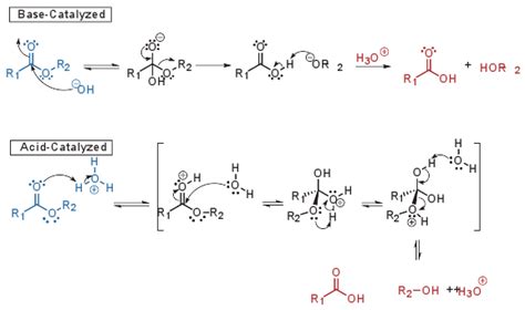 酯水解（Ester Hydrolysis）-百灵威