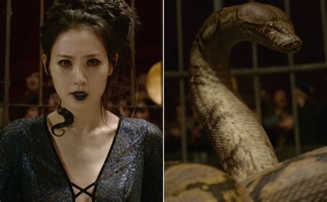 ‘Fantastic Beasts 2’ Introduces Nagini Before Voldemort’s Snake | IndieWire