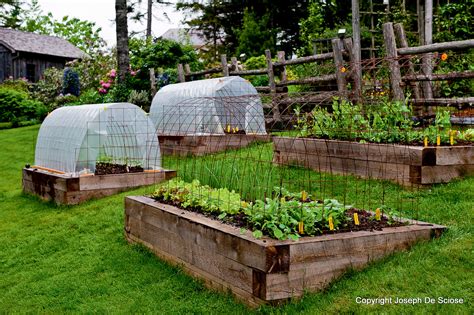 How to Grow Vegetables All Year Long (Even in Winter!)