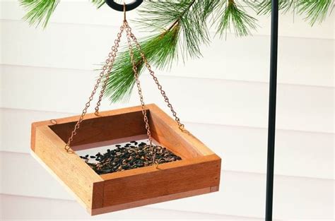 DIY Simple Bird Feeder | Backyard Projects - Birds and Blooms