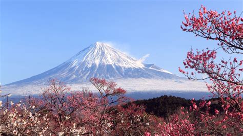 Mount Fuji Desktop Wallpapers - Top Free Mount Fuji Desktop Backgrounds - WallpaperAccess