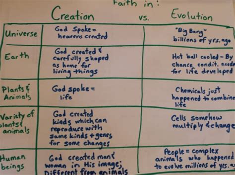 Creation and Science Lesson for Middle School Biology - HubPages