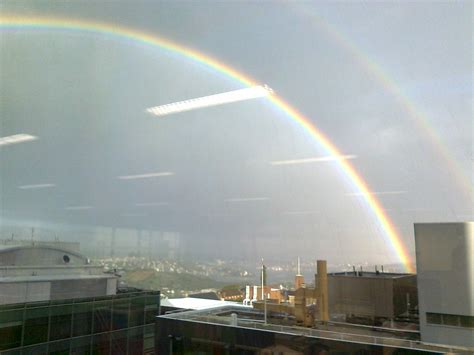 Somewhere over the Rainbow... - Rachael Goldsworthy Realty