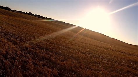 golden fields sunset - YouTube