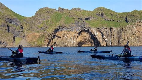 Kayak and puffin tour in Westman Islands | Vestmannaeyjar