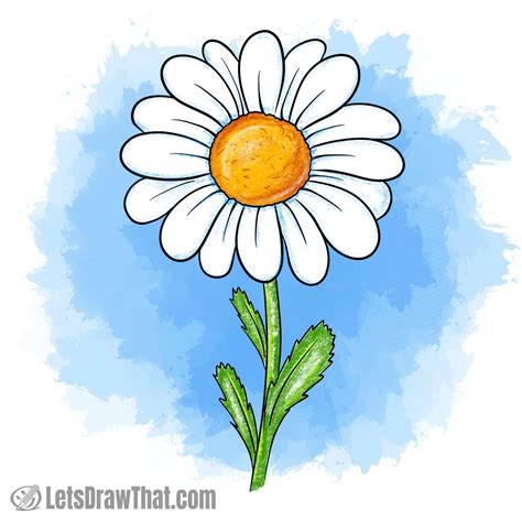 8+ Easy Daisy Drawing - GurpinderEilis