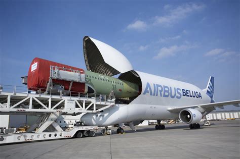 On the Wings of Giants: Airbus Banks on the Beluga - NYCAviationNYCAviation