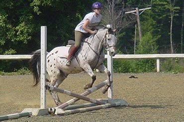 Horseback Riding Camp | Traditional Summer Camps | The Summer Lady