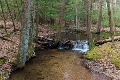 Hiking Through Locust Lake State Park in Schuylkill County - Uncovering PA