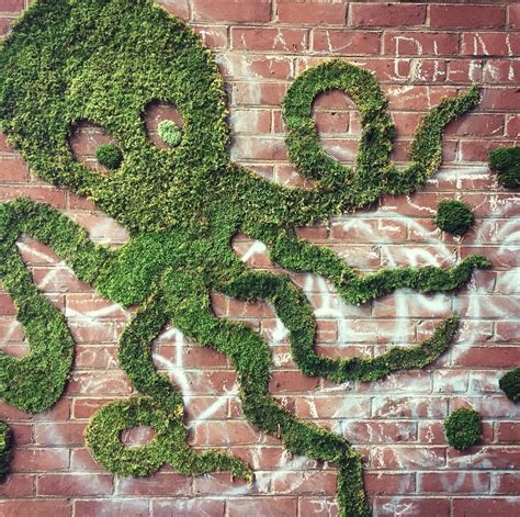 The Art of Moss Graffiti and How to Do it Yourself - Article onThursd