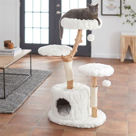 FRISCO Natural Wood Modern Cat Tree with Toy, Ivory, Large - Chewy.com