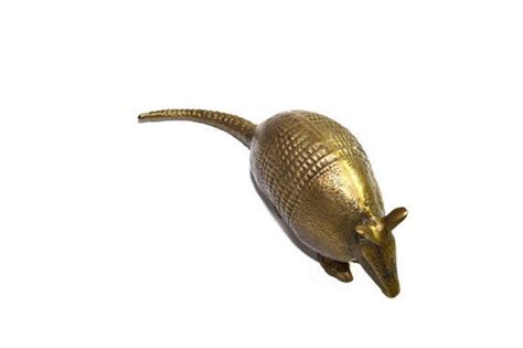 Brass Armadillo Gold Armadillo Southwestern Decor LARGE - Etsy