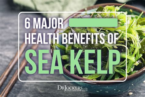 6 Major Health Benefits of Sea Kelp For Energy and Metabolism