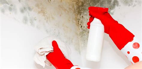 10 Mold Prevention Tips for Your Home