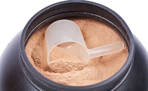 Casein Protein Powder Manufacturer, Supplier from Ahmedabad