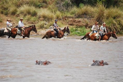 Horse Riding Safari in the Masai Mara - African Horse Safaris