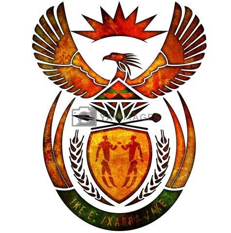 south africa coat of arms by michal812 Vectors & Illustrations with Unlimited Downloads - Yayimages