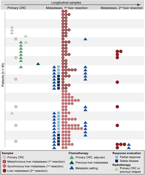 Overview of tumor samples analyzed and treatment course for each... | Download Scientific Diagram