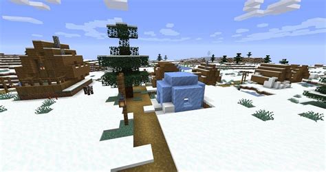 What Biomes Do Igloos Spawn In